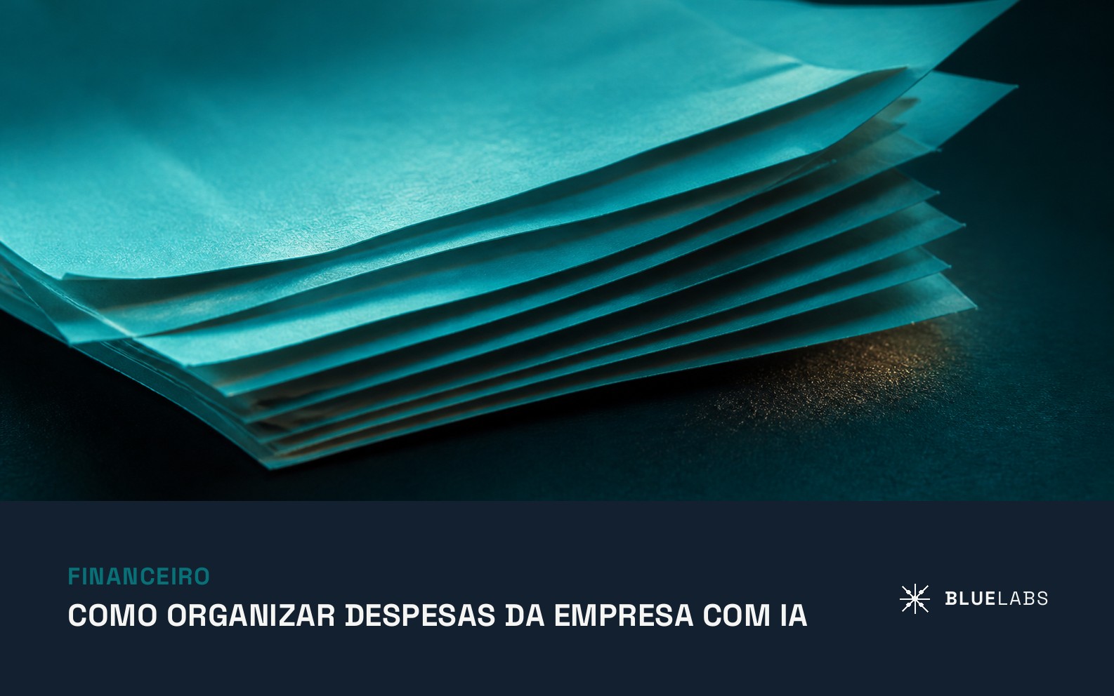 organizar despesas da empresa com IA
